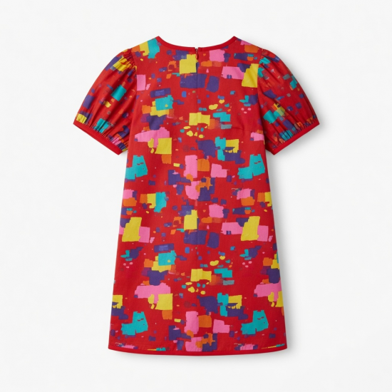 Red Multicolor Women's Mini Dress