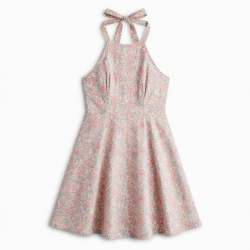 Halter Sleeveless A-Line Floral Women's Mini Dress
