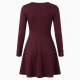 V-Neck Long Sleeve A-Line Fitted Women's Mini Dress