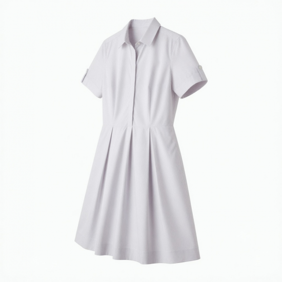 Collared Short Sleeve A-Line Women's Dress
