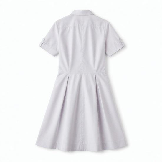 Collared Short Sleeve A-Line Women's Dress