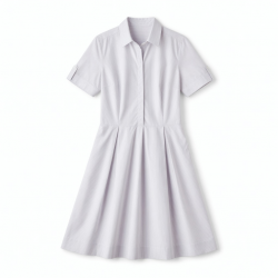 Collared Short Sleeve A-Line Women's Dress