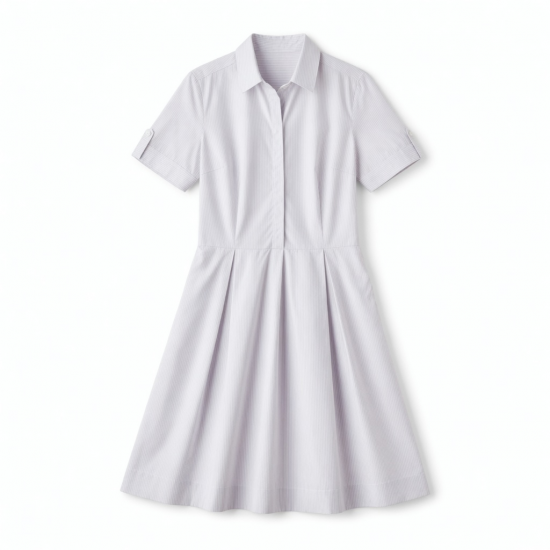 Collared Short Sleeve A-Line Women's Dress